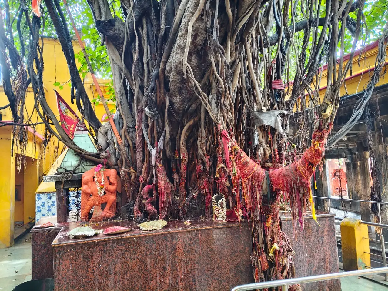 Narayan Bali Shraddh 3 WhatsApp Image 2025 08 07 at 17.40.59